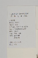 南華南蛇藤，青江藤藏品圖，第2張