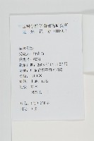 蒼耳藏品圖，第2張