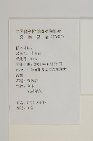 茵蔯蒿藏品圖，第2張