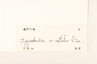 豨簽藏品圖，第3張