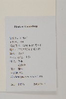 白花地膽草藏品圖，第2張