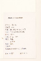 金腰箭藏品圖，第2張