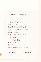 一枝香藏品圖，第2張