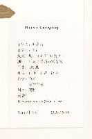 一枝香藏品圖，第2張