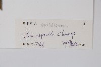 燈稱花、烏雞骨藏品圖，第2張