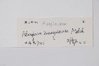 登錄號:S128843藏品圖，第2張