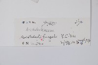 登錄號:S128844藏品圖，第2張