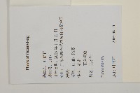 亮葉衛矛、中華衛矛藏品圖，第2張