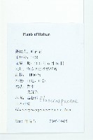 薯豆藏品圖，第2張