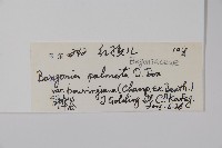 紅孩兒藏品圖，第2張