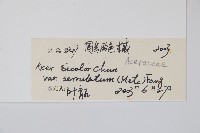 登錄號:S128892藏品圖，第2張