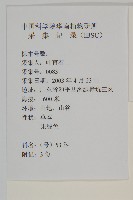 雀舌草藏品圖，第2張