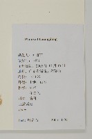 登錄號:S128912藏品圖，第2張