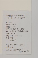 小薊藏品圖，第2張