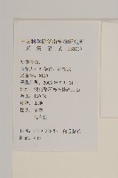 白舌紫菀藏品圖，第2張