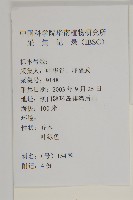 銀木麻黃藏品圖，第2張