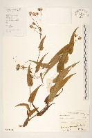 登錄號:S128944藏品圖，第1張