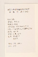 秋鼠麴草藏品圖，第3張