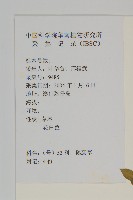 牛繁縷藏品圖，第2張