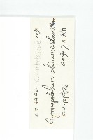 裸瓣瓜藏品圖，第3張