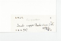 羊耳菊藏品圖，第3張