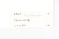 登錄號:S129004藏品圖，第3張