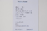 爵床藏品圖，第2張