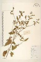 豨簽藏品圖，第1張