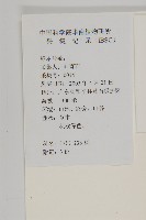 加拿大蓬藏品圖，第2張