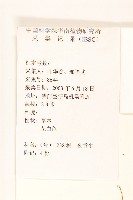 一枝香藏品圖，第2張