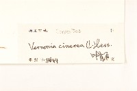 一枝香藏品圖，第3張