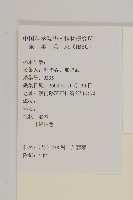 蘄艾、芙蓉菊藏品圖，第2張
