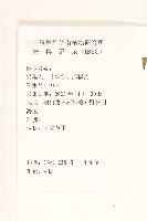 孔雀草、紅黃草、萬壽菊藏品圖，第2張