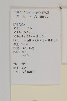 大頭艾納香藏品圖，第2張