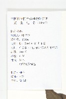 信宜柿藏品圖，第5張