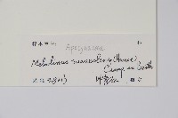 山橙藏品圖，第2張