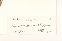 一枝香藏品圖，第3張