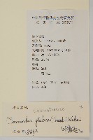 草珊瑚、紅果金粟蘭藏品圖，第2張