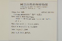 武靴藤藏品圖，第4張