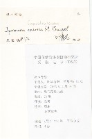 番仔藤藏品圖，第2張