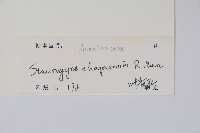 登錄號:S129274藏品圖，第2張