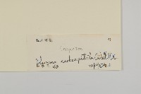 登錄號:S129278藏品圖，第3張