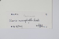 登錄號:S129322藏品圖，第2張