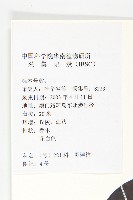 山紅柿藏品圖，第5張