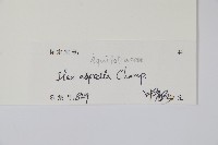 燈稱花、烏雞骨藏品圖，第2張