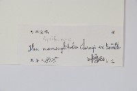 谷木葉冬青藏品圖，第2張