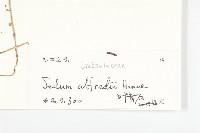 石板菜藏品圖，第3張