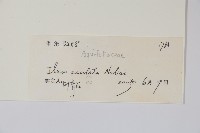 鼠李冬青、滿樹星藏品圖，第2張