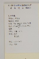 華南金粟蘭藏品圖，第2張