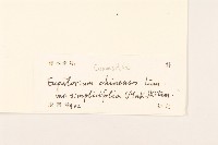 登錄號:S129392藏品圖，第3張